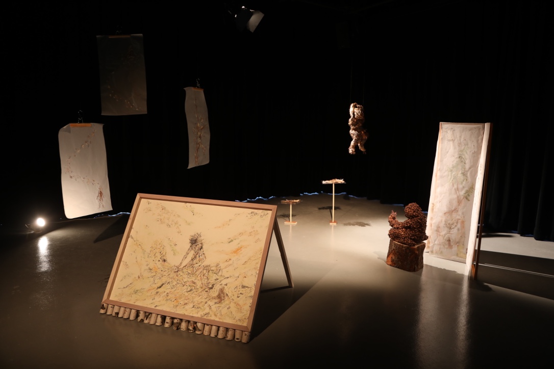 Dendrologie vue globale de l’exposition