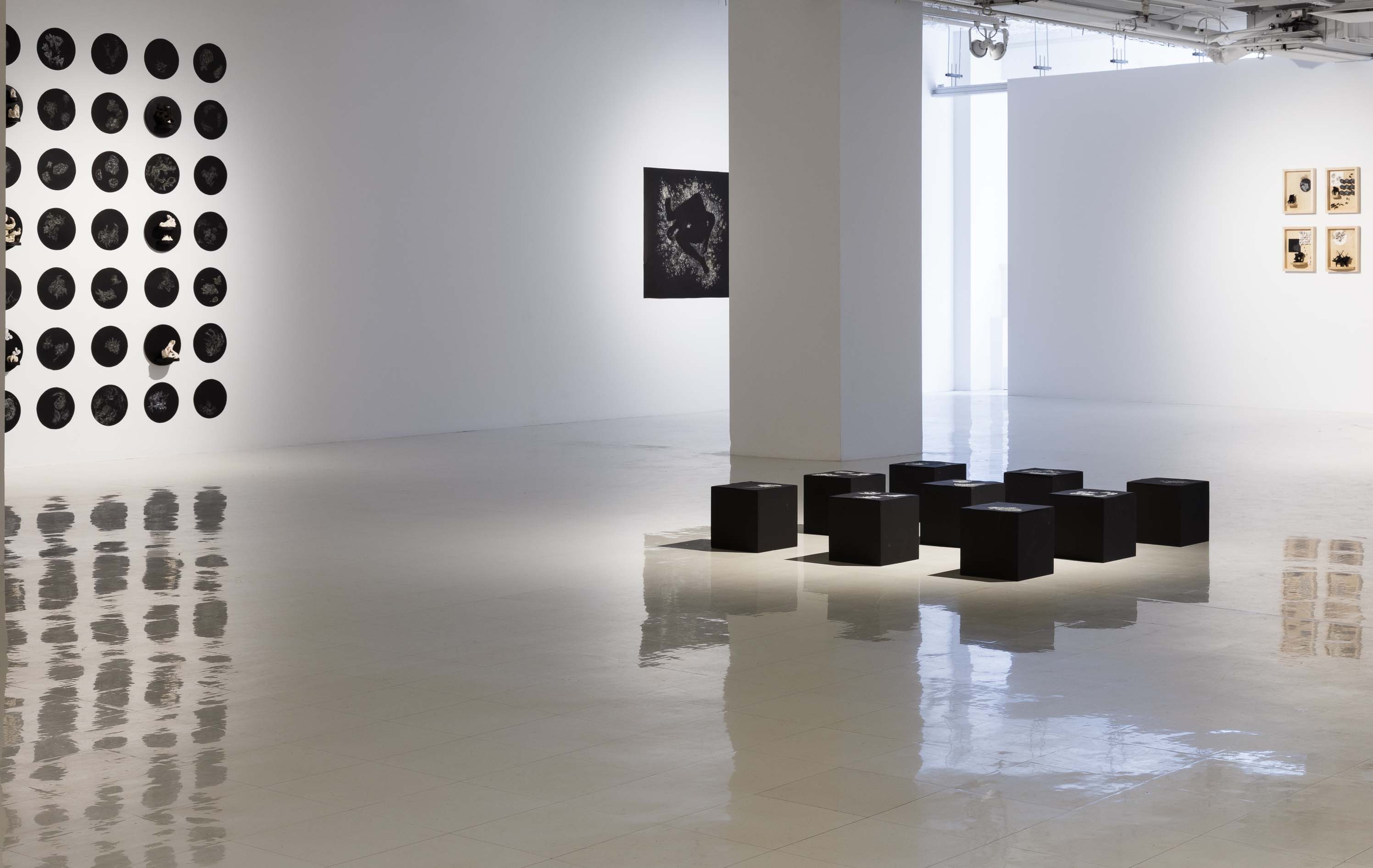 Vue globale de l’exposition